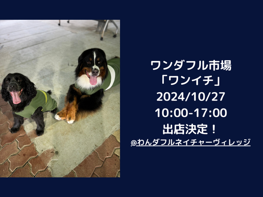 商品情報追記:10月27日【ワンダフル市場】ワンイチ 出店決定