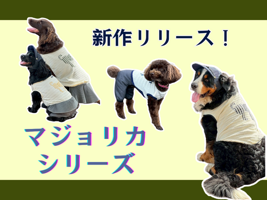 新作:マジョリカプリーツオールインワンがリリースされました