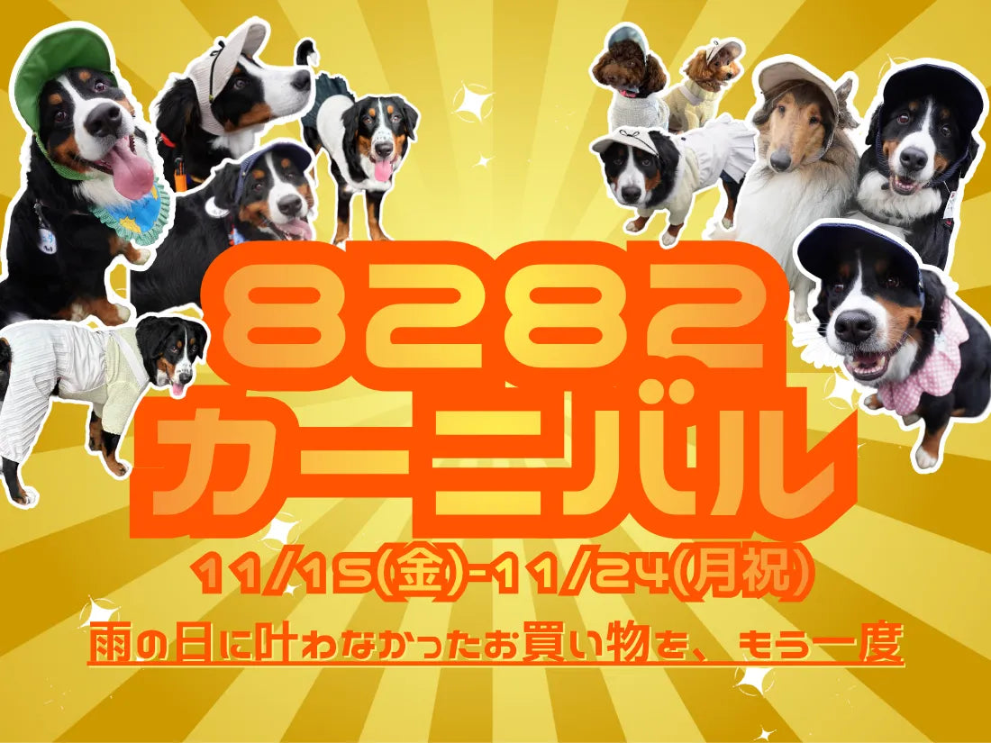 11/24まで】8282カーニバル開催！大人気キャップが特価でお買い求め