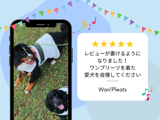 レビューで愛犬の可愛さを自慢しよう!