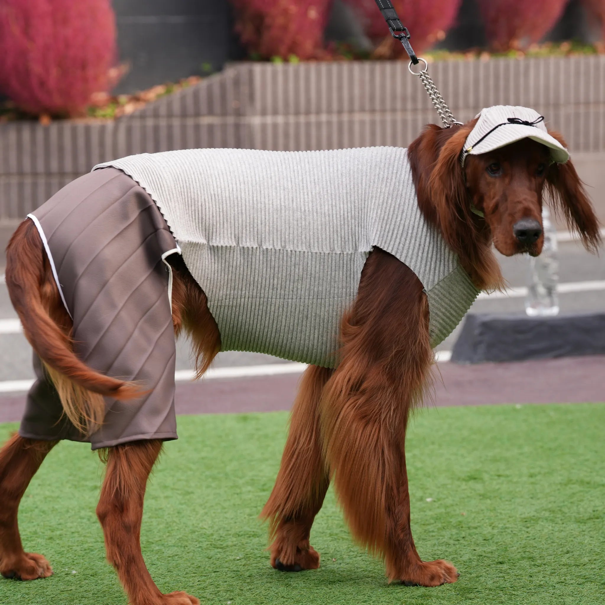 着せ替えシリーズ｜Wan!Pleats 超小型犬〜超大型犬まで対応の犬服