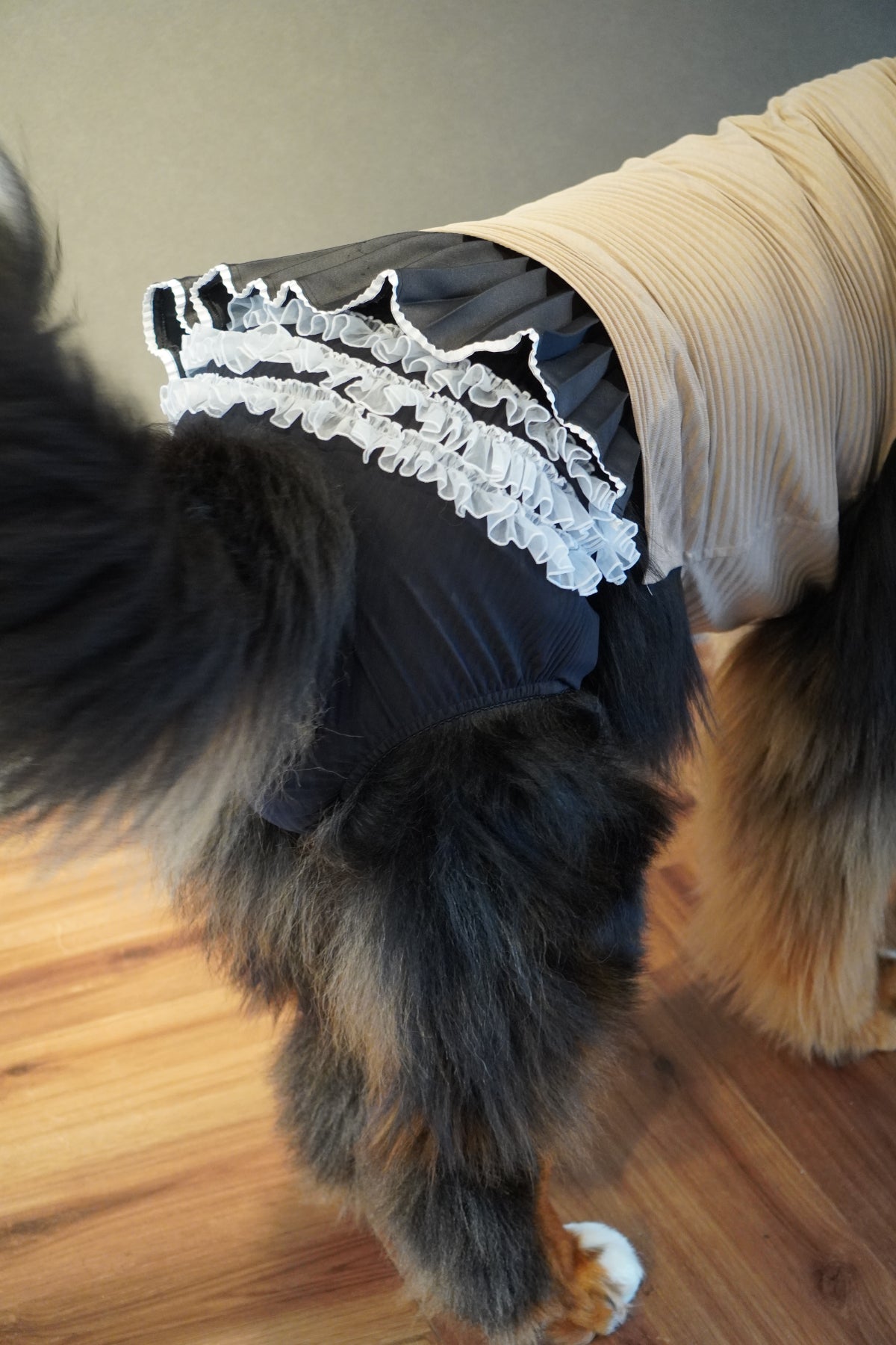 DOG WEAR - プリーツマナーフリルパンツ(女の子)
