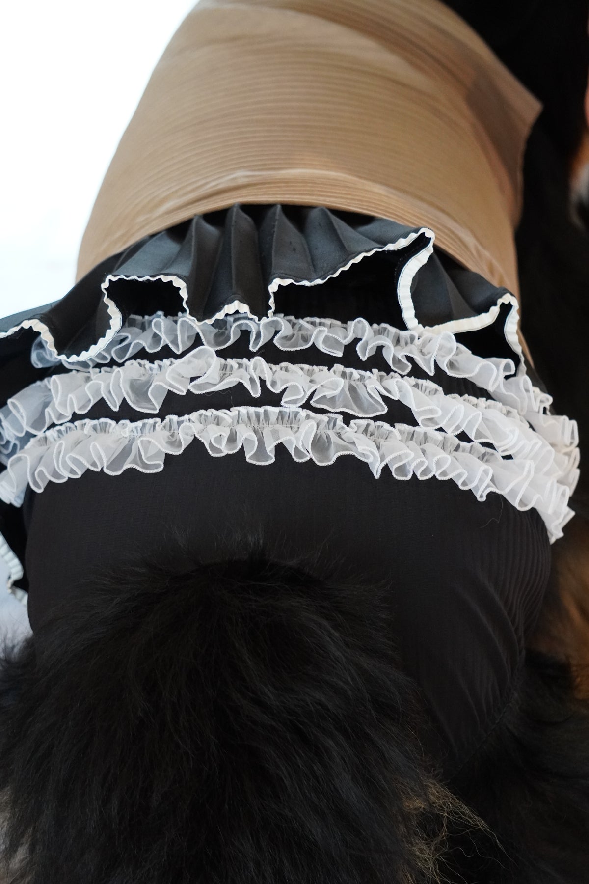 DOG WEAR - プリーツマナーフリルパンツ(女の子)