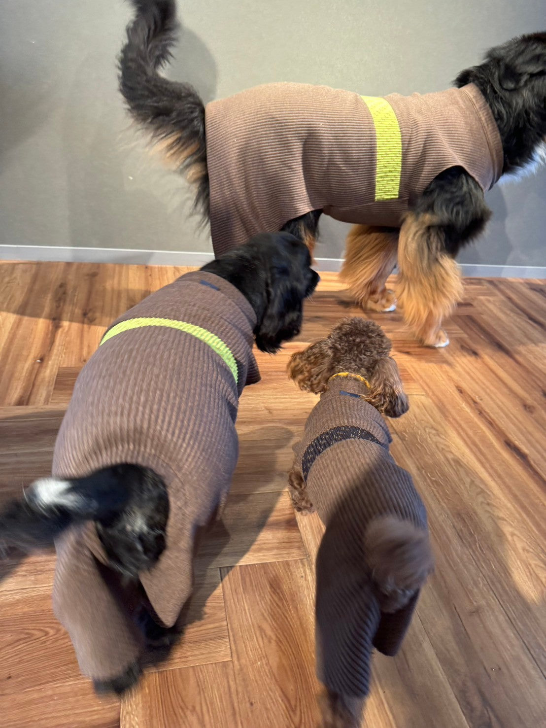 DOG WEAR - モフモフプリーツロンパース 2