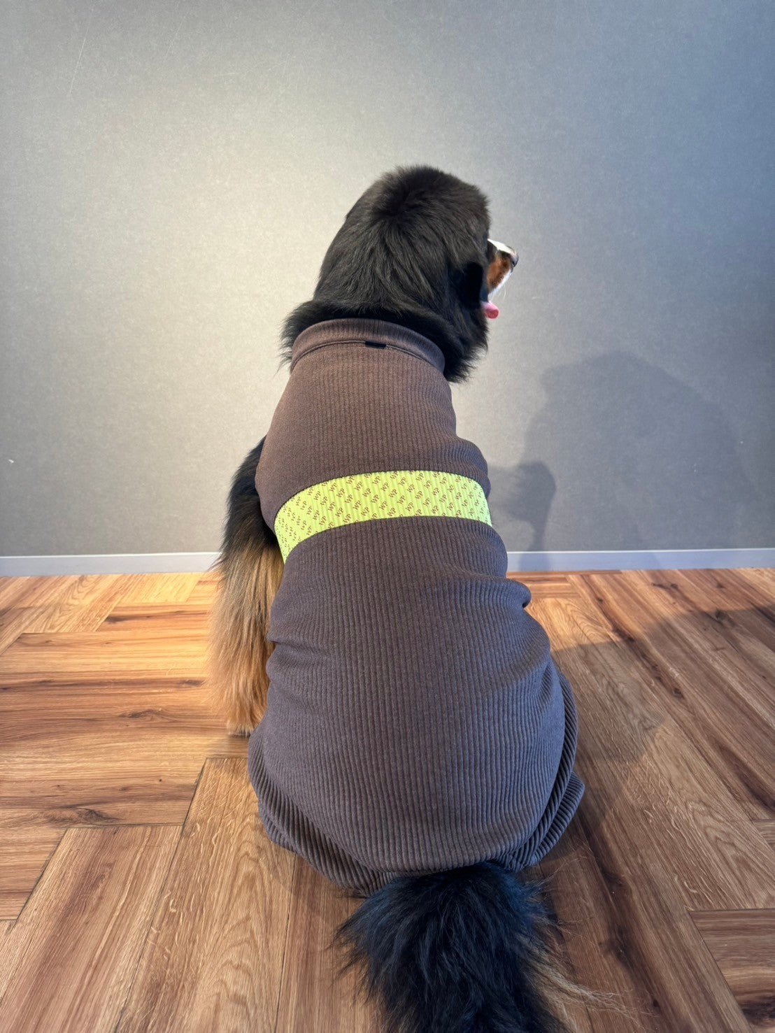 DOG WEAR - モフモフプリーツロンパース 2