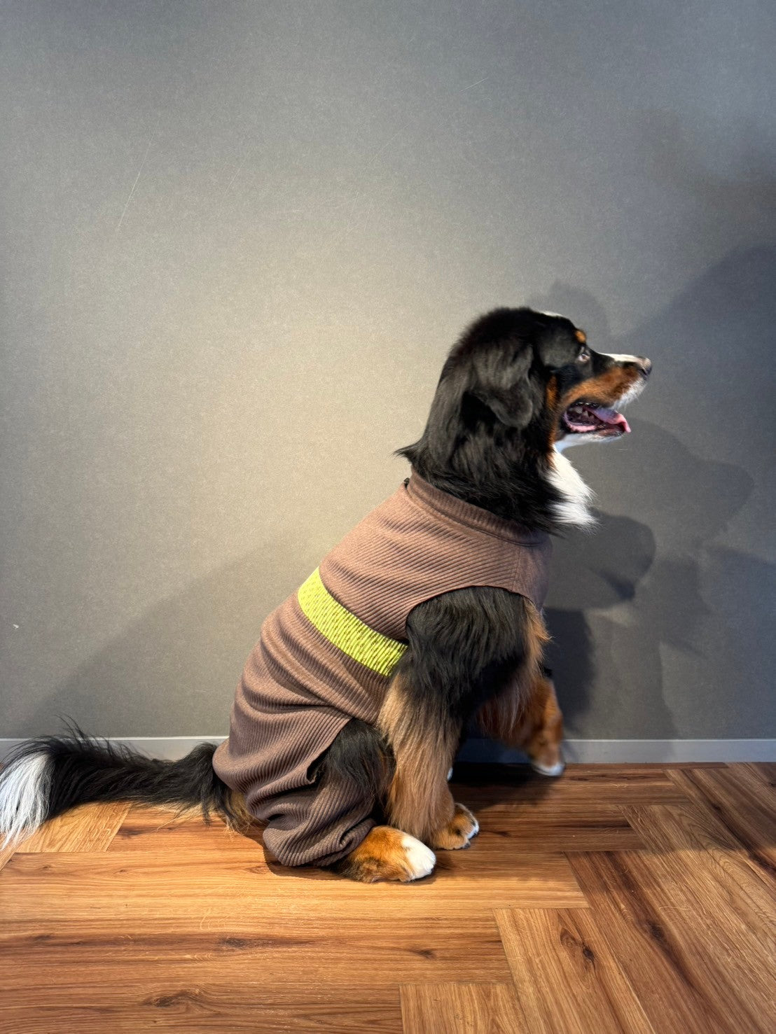 DOG WEAR - モフモフプリーツロンパース 2