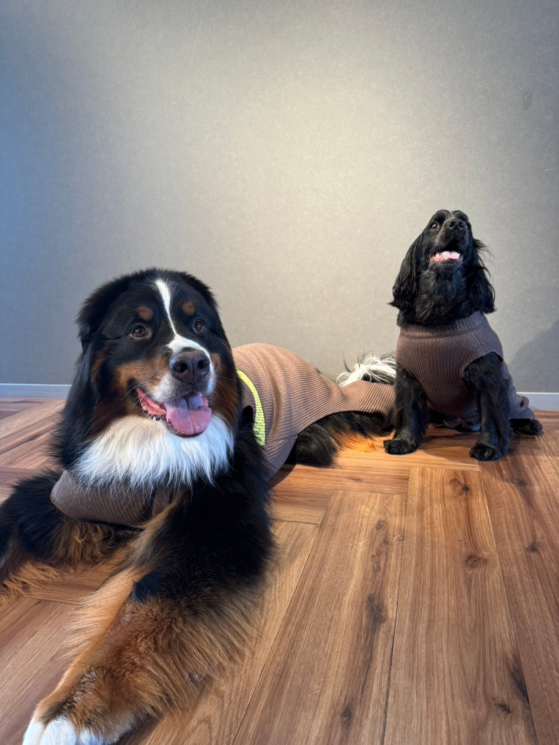 DOG WEAR - モフモフプリーツロンパース 2