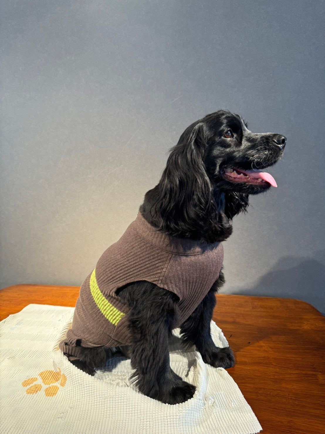 DOG WEAR - モフモフプリーツロンパース 2