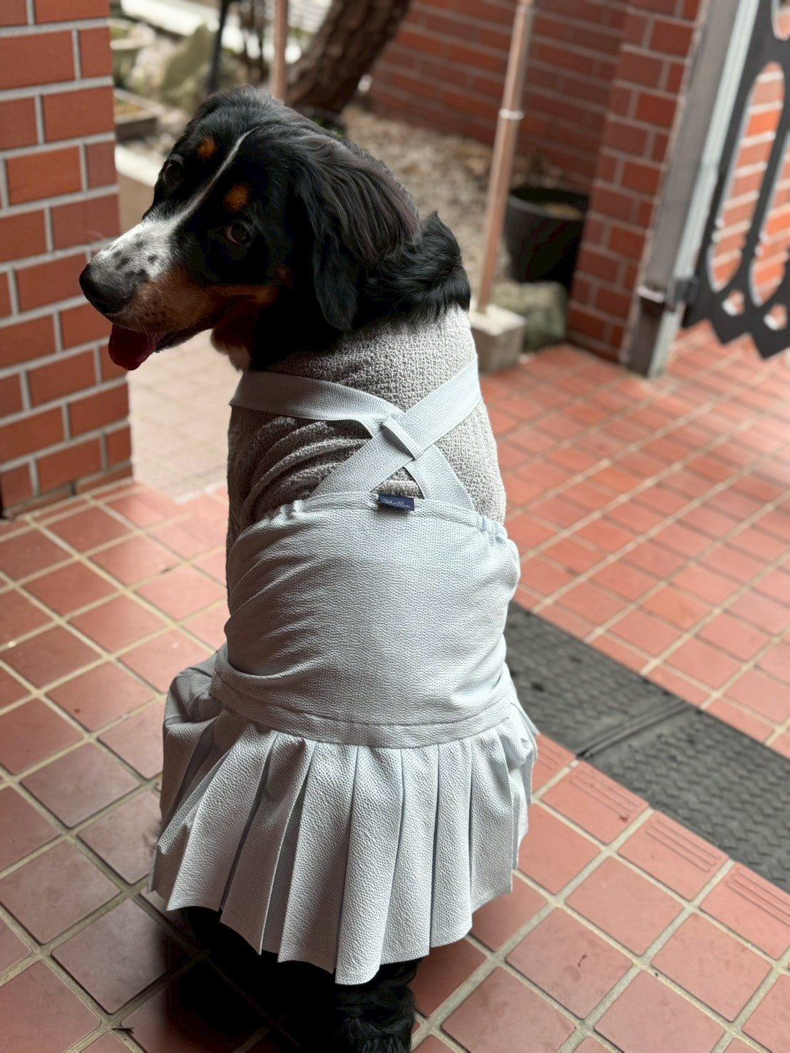 マロ●犬服●ハンドメイド マロ様❣️オーダー❣️ハンドメイド犬服❣️