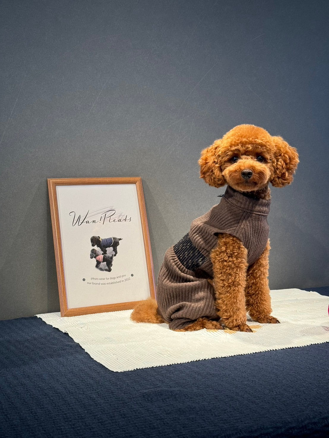 DOG WEAR - モフモフプリーツロンパース 2
