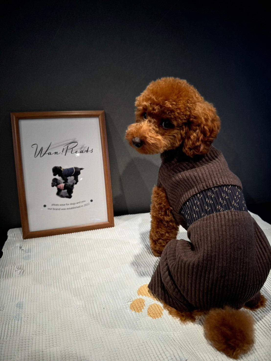 DOG WEAR - モフモフプリーツロンパース 2