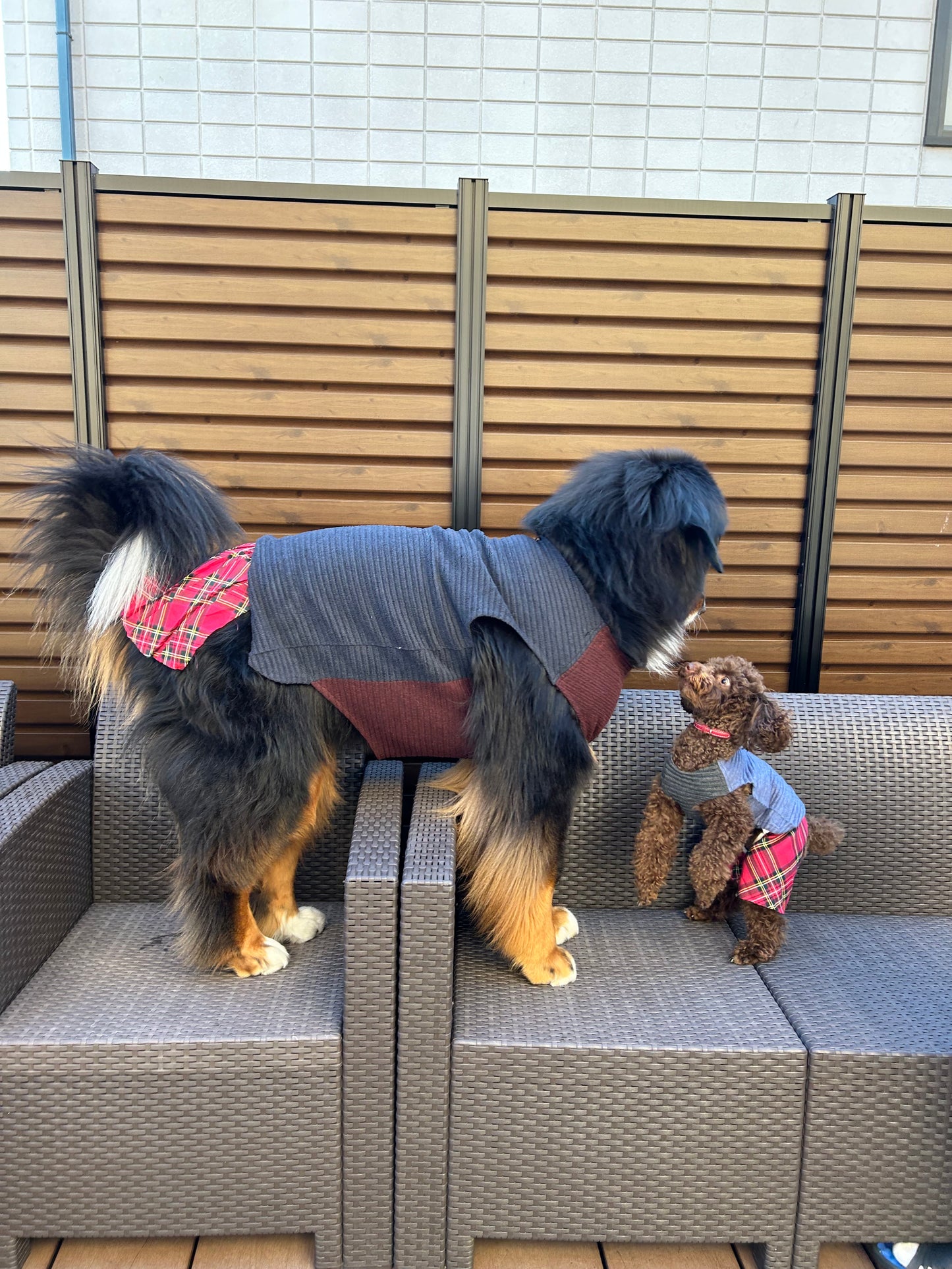 DOG WEAR - 着せ替えプリーツスカート