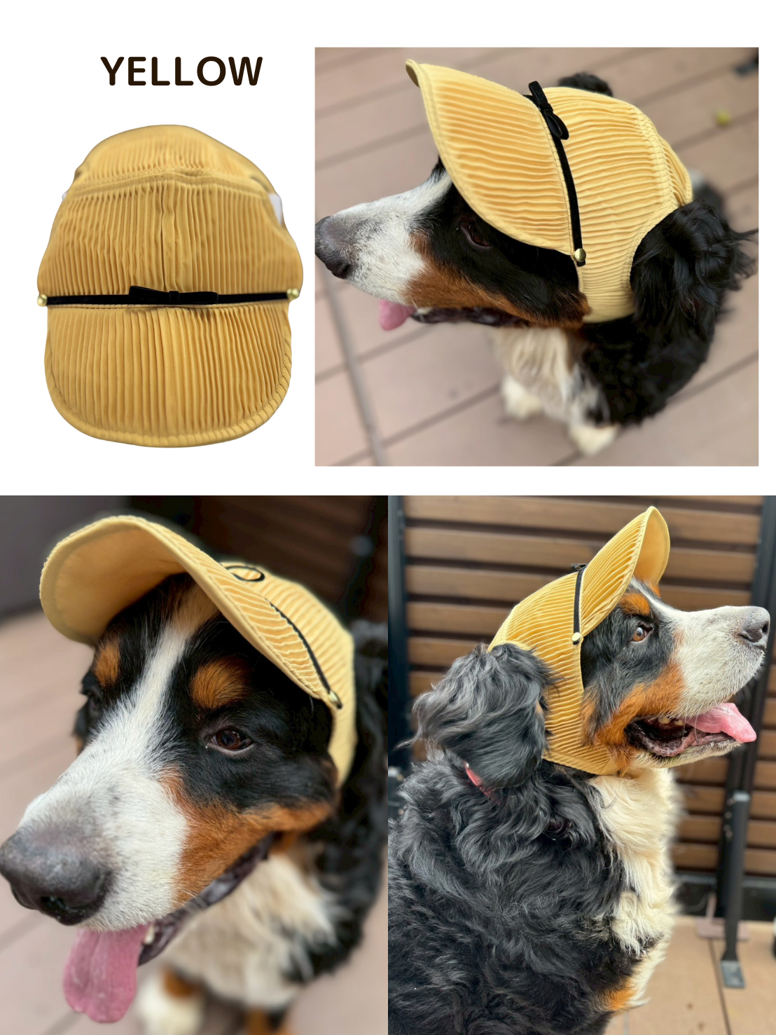 Wan!Pleatsの大人気!超大型犬用のキャップ Yellow