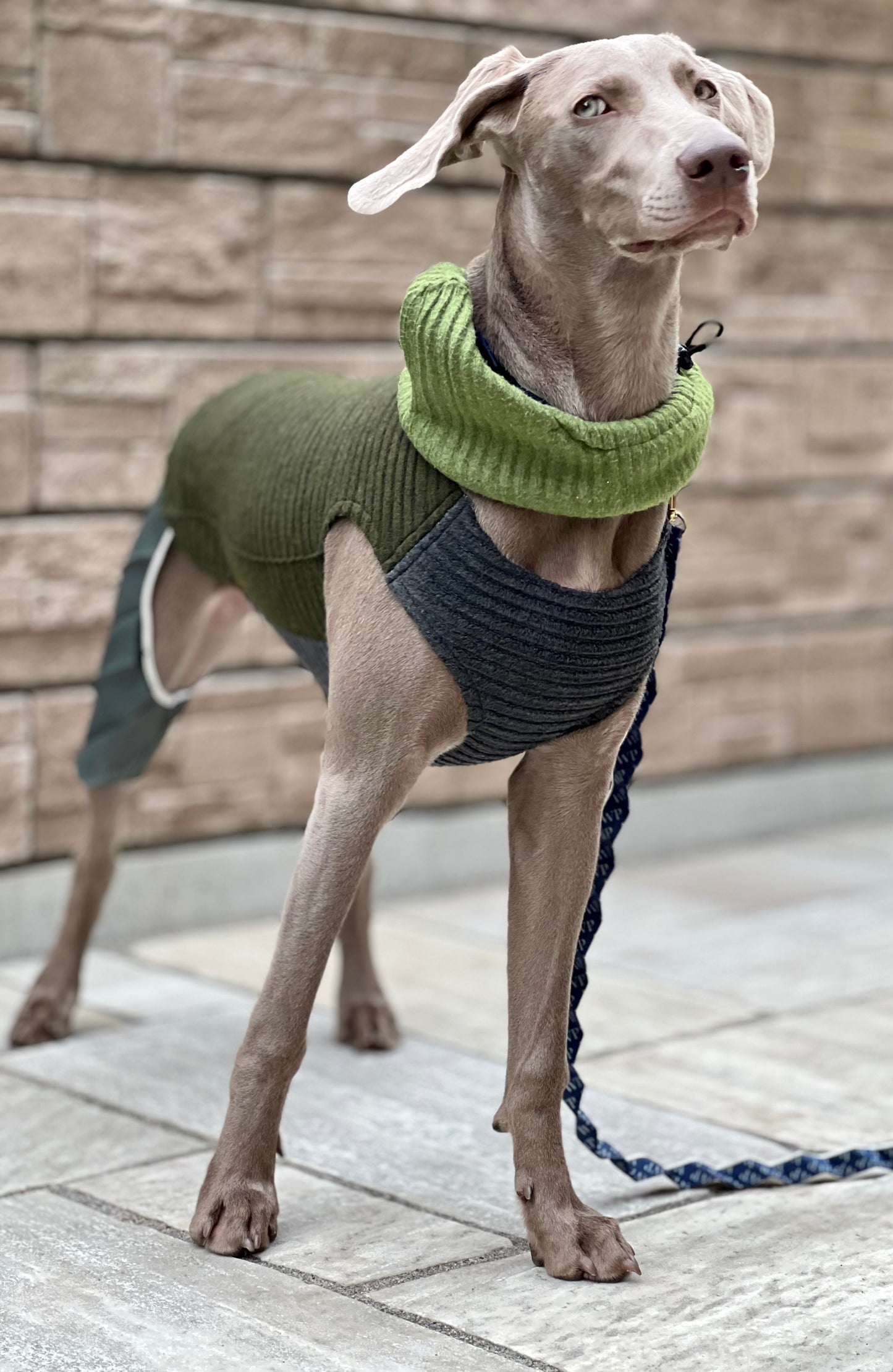 DOG WEAR - モフモフプリーツタンクトップ