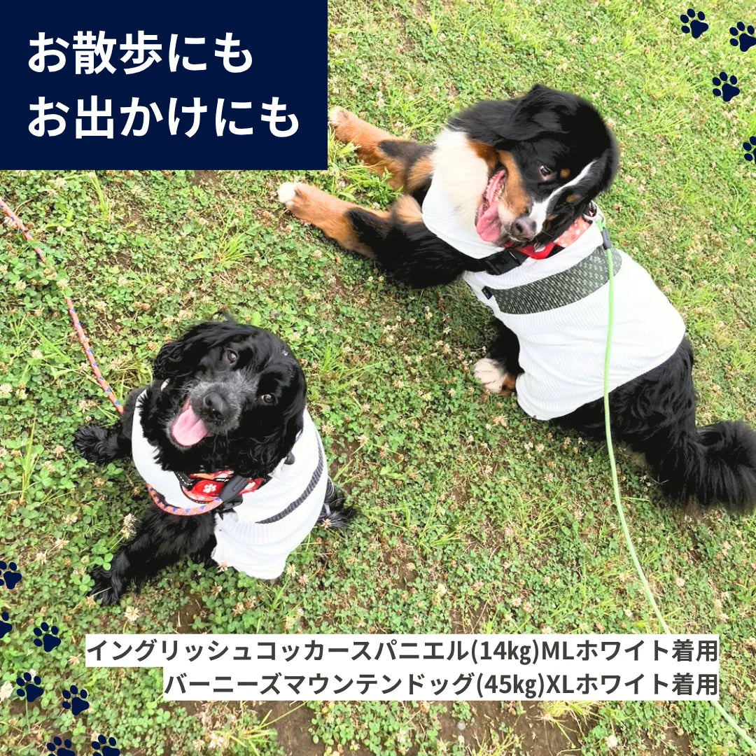 毎日使えるロンパース。シンプルで使いやすいデザインだからこそ、普段のお散歩はもちろん、お出かけ先で馴染みやすい♫おしゃれな色使いが好評で、映えスポットでも上品に風景を邪魔しません😊