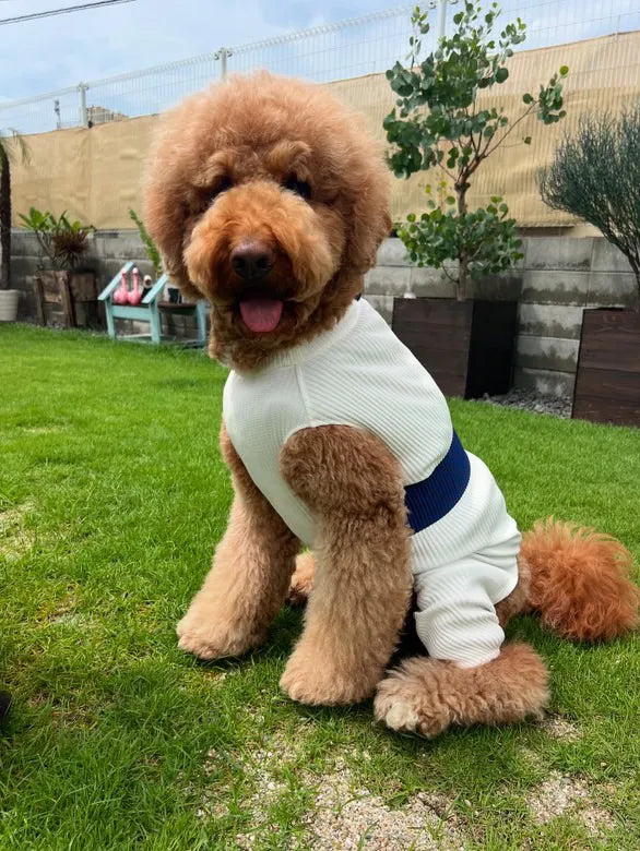 スタンプー|wanpleats(ワンプリーツ) 犬服 dogwear ドッグウェア ロンパース オールインワン 超大型犬 超小型犬