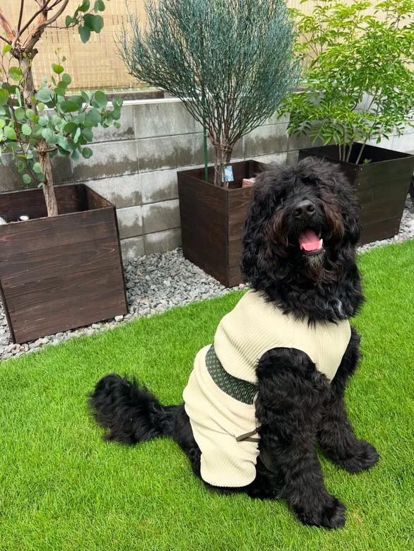 バーニードゥードゥル|wanpleats(ワンプリーツ) 犬服 dogwear ドッグウェア ロンパース オールインワン 超大型犬 超小型犬