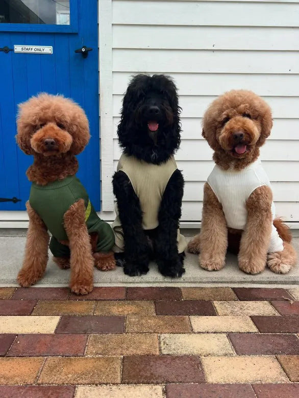 wanpleats(ワンプリーツ) 犬服 dogwear ドッグウェア ロンパース オールインワン 超大型犬 超小型犬 バーニードゥードゥル スタンダードプードル