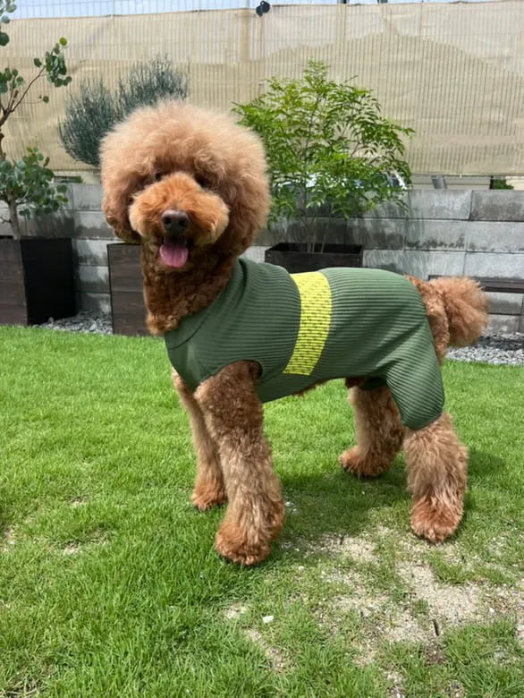 スタンプー|wanpleats(ワンプリーツ) 犬服 dogwear ドッグウェア ロンパース オールインワン 超大型犬 超小型犬