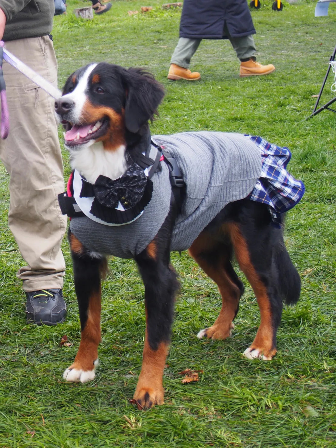 DOG WEAR - フリンジ付着せ替えプリーツチェックスカート
