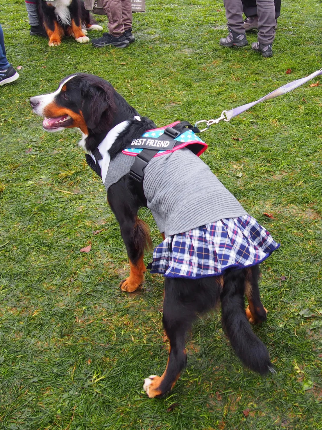 DOG WEAR - フリンジ付着せ替えプリーツチェックスカート