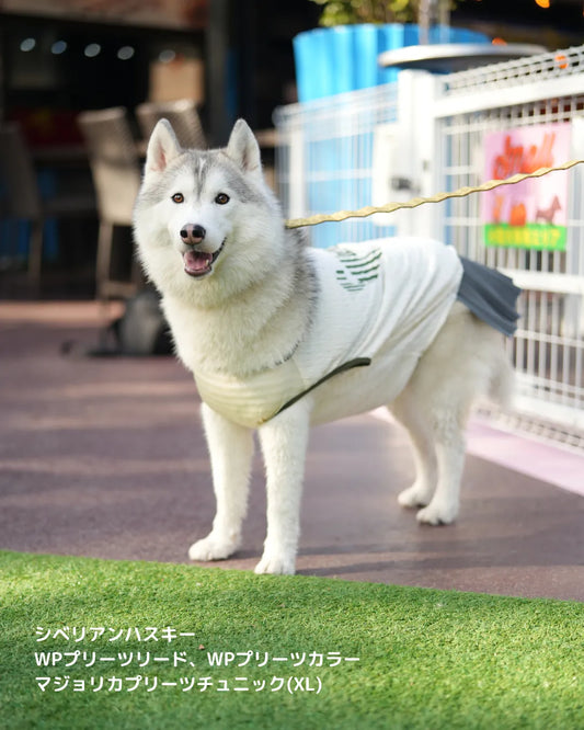 DOG WEAR - マジョリカプリーツチュニック