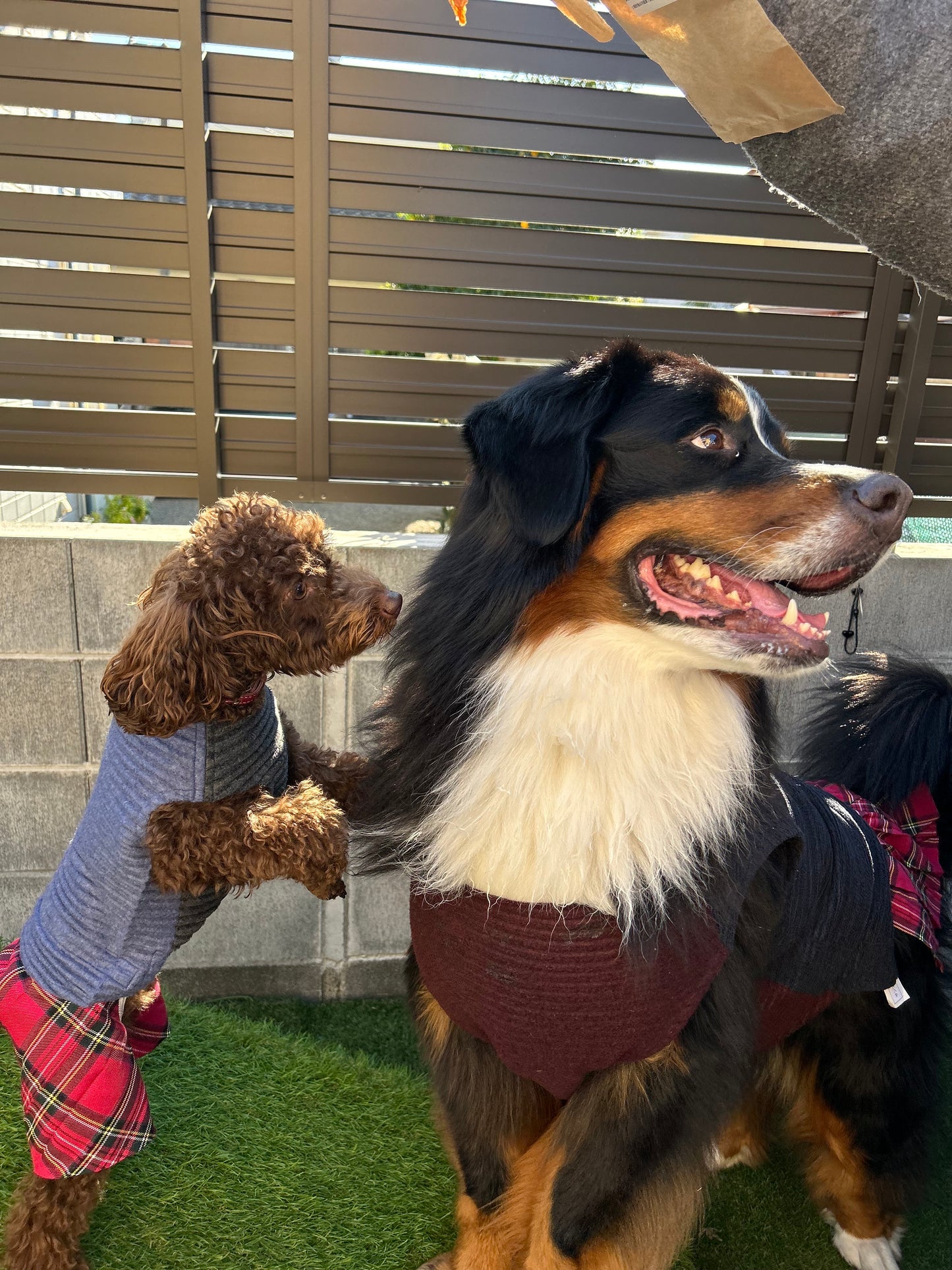 DOG WEAR - モフモフプリーツタンクトップ