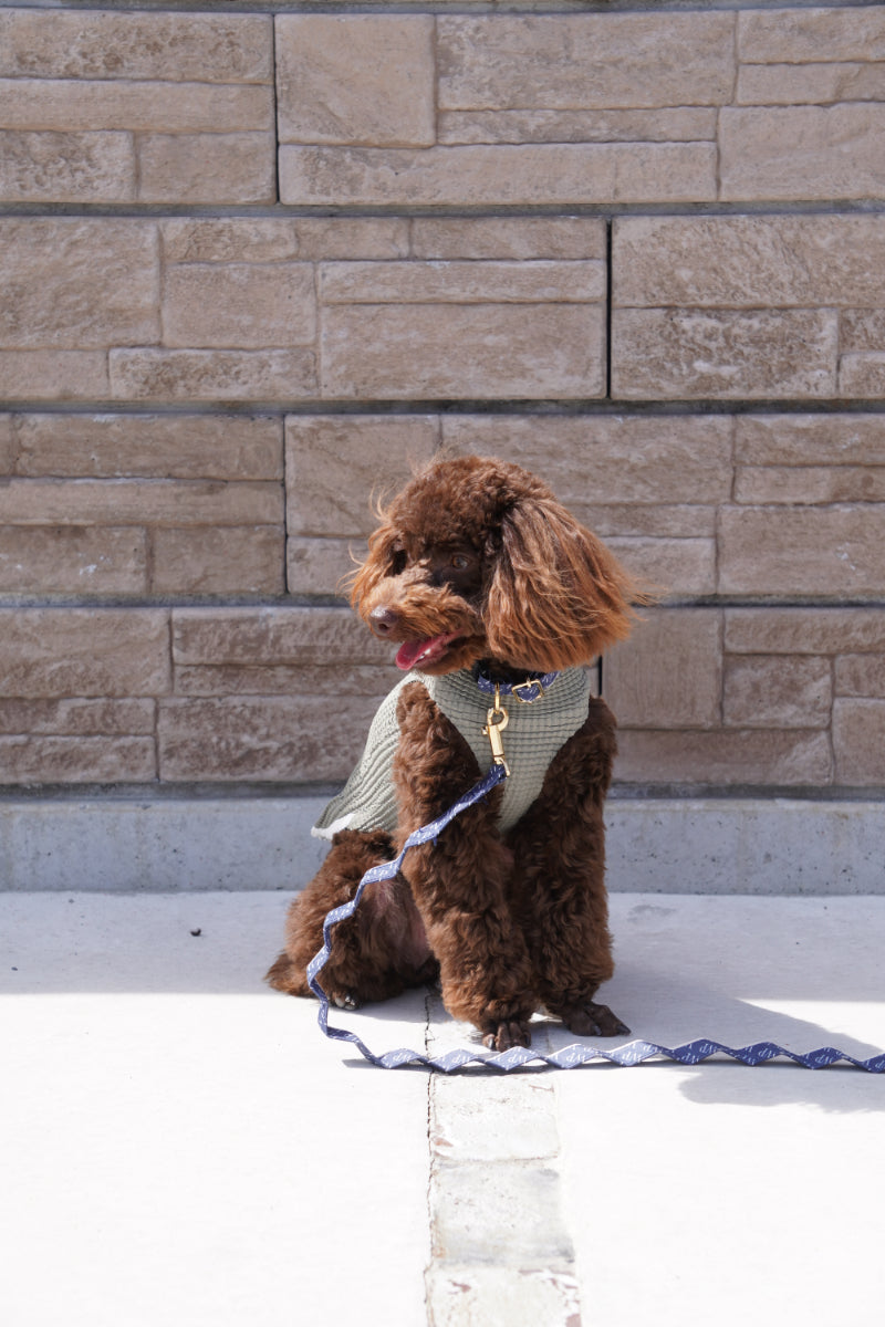 wanpleats(ワンプリーツ) 犬服 dogwear ドッグウェア トップス 超大型犬 超小型犬