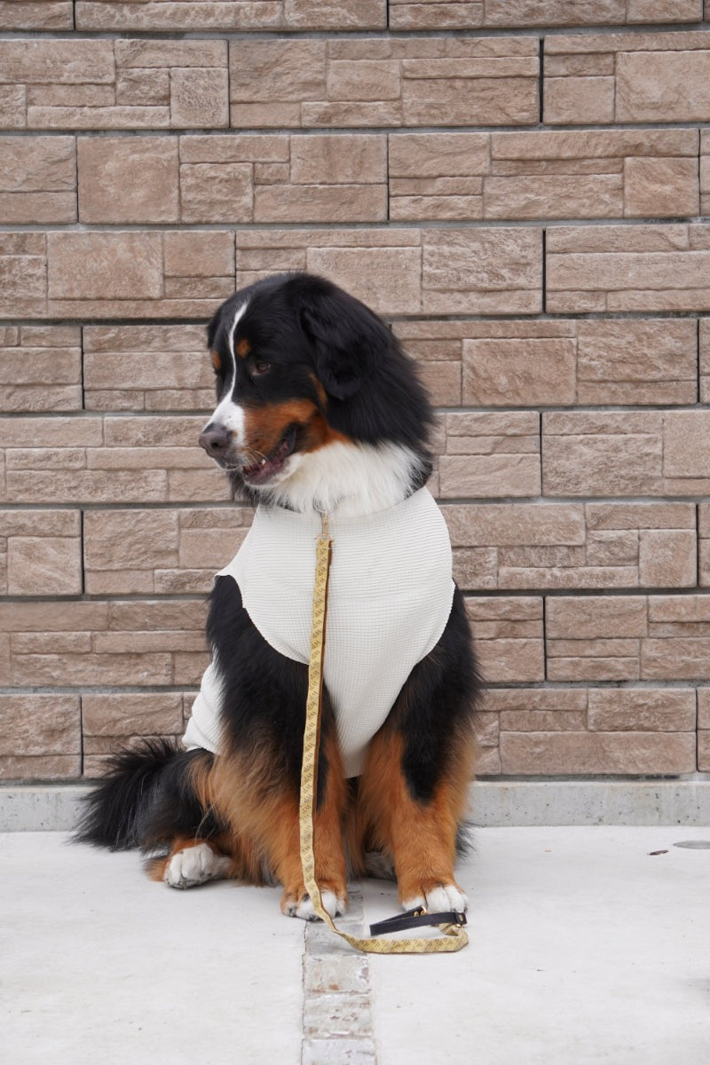 wanpleats(ワンプリーツ) 犬服 dogwear ドッグウェア トップス 超大型犬 超小型犬