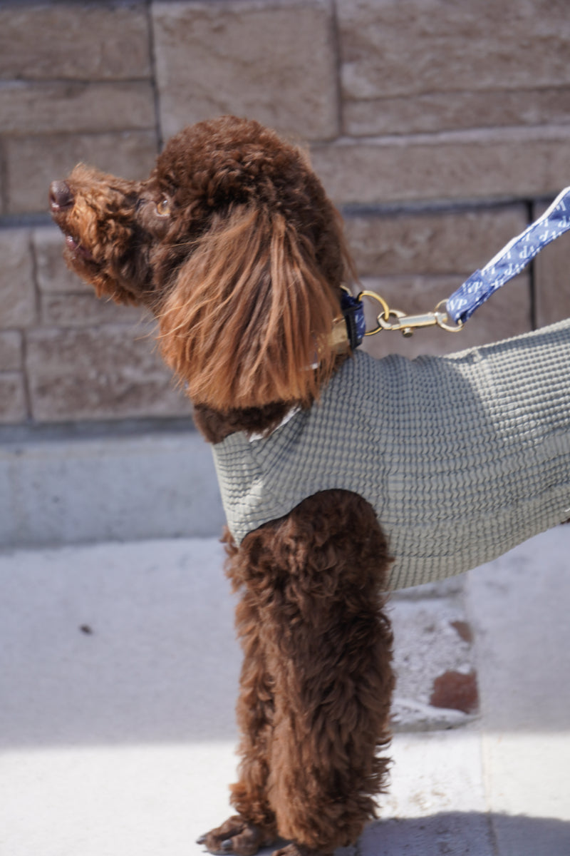 wanpleats(ワンプリーツ) 犬服 dogwear ドッグウェア トップス 超大型犬 超小型犬