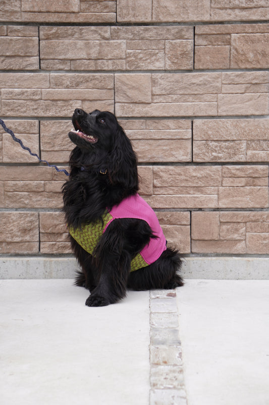 wanpleats(ワンプリーツ) 犬服 dogwear ドッグウェア トップス 超大型犬 超小型犬