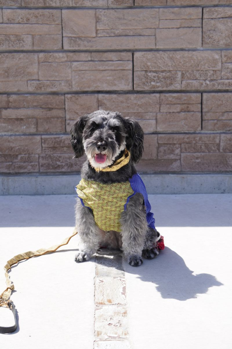 wanpleats(ワンプリーツ) 犬服 dogwear ドッグウェア トップス 超大型犬 超小型犬