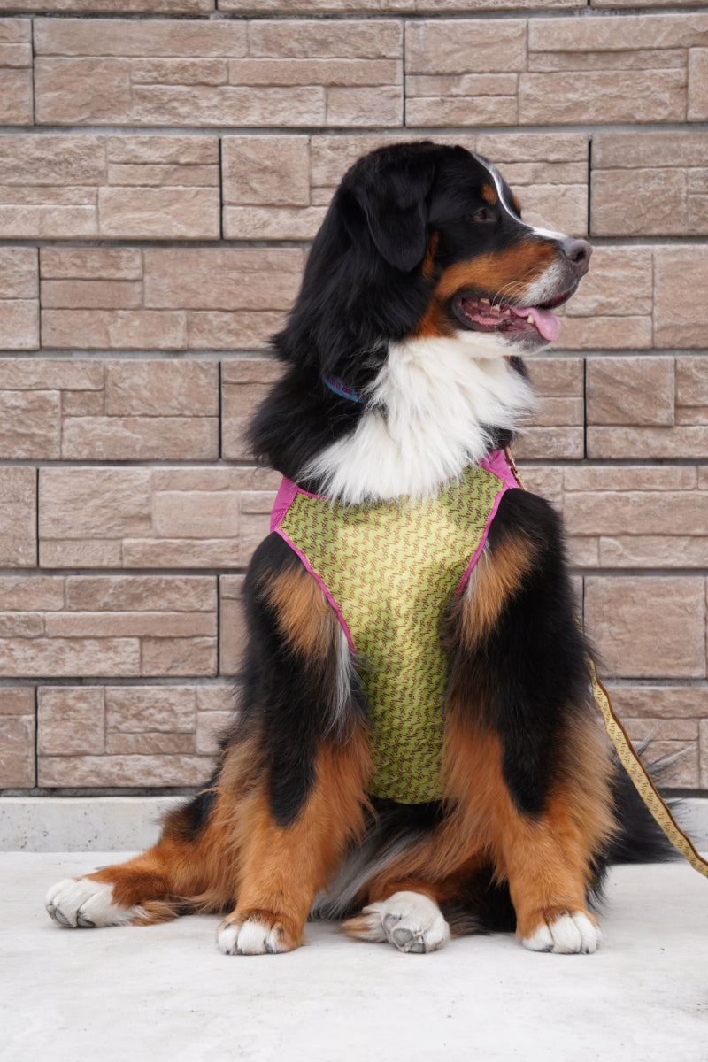 wanpleats(ワンプリーツ) 犬服 dogwear ドッグウェア トップス 超大型犬 超小型犬
