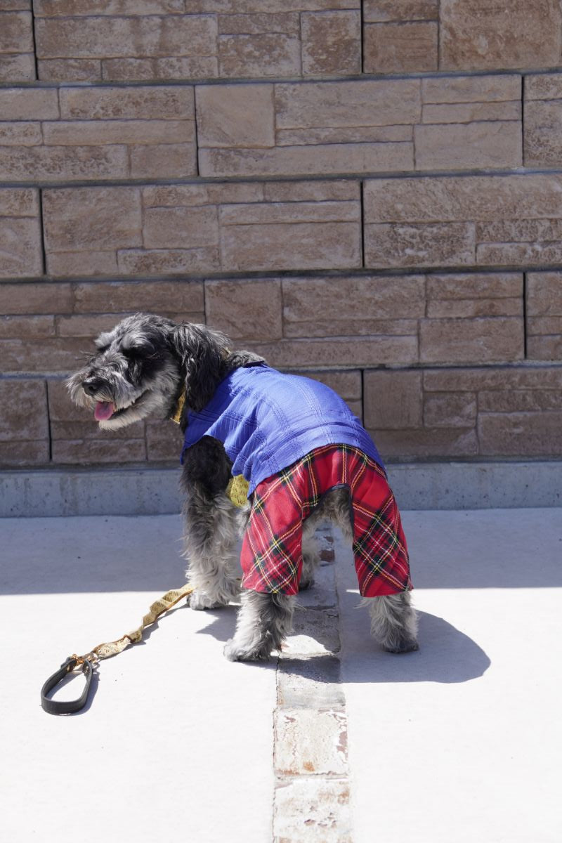 wanpleats(ワンプリーツ) 犬服 dogwear ドッグウェア トップス 超大型犬 超小型犬