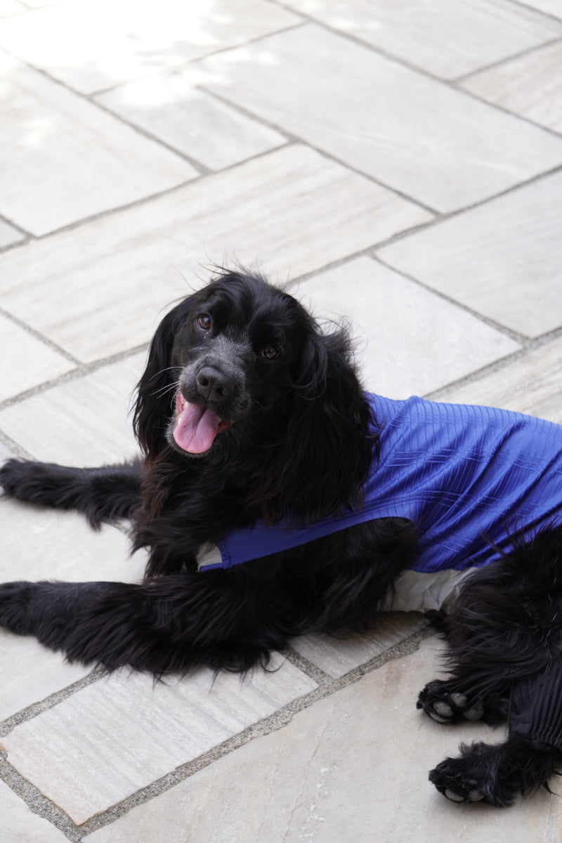 wanpleats(ワンプリーツ) 犬服 dogwear ドッグウェア トップス 超大型犬 超小型犬
