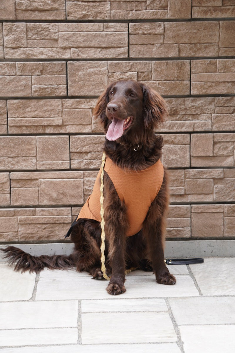 wanpleats(ワンプリーツ) 犬服 dogwear ドッグウェア トップス 超大型犬 超小型犬