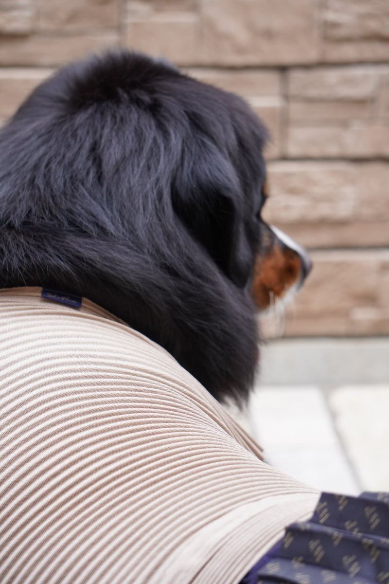 wanpleats(ワンプリーツ) 犬服 dogwear ドッグウェア トップス 超大型犬 超小型犬