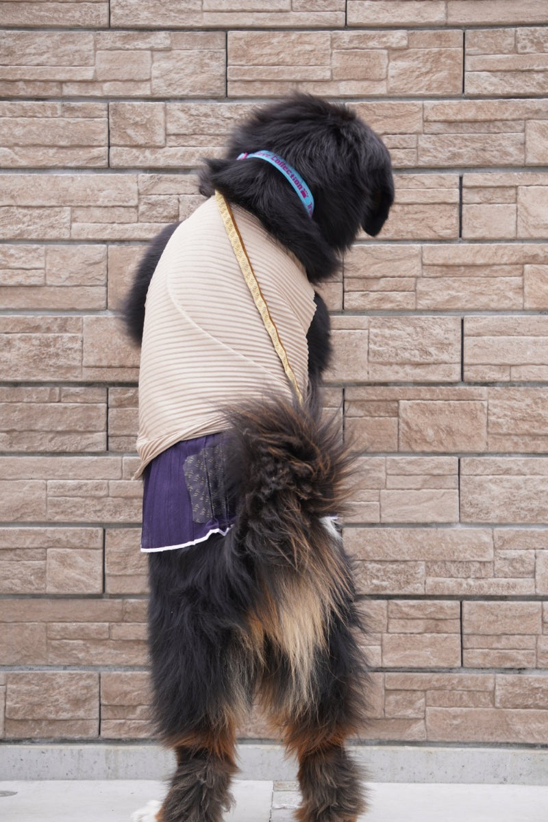 wanpleats(ワンプリーツ) 犬服 dogwear ドッグウェア トップス 超大型犬 超小型犬