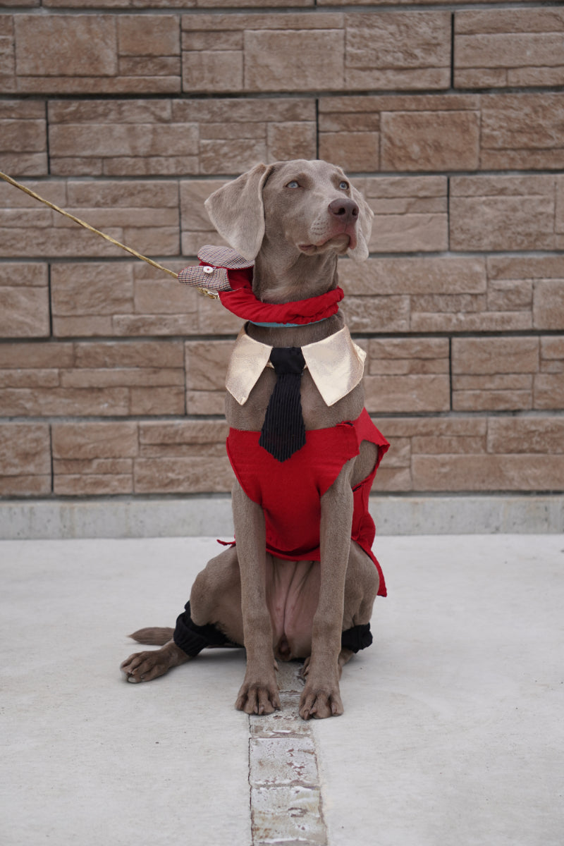 wanpleats(ワンプリーツ) 犬服 dogwear ドッグウェア トップス 超大型犬 超小型犬