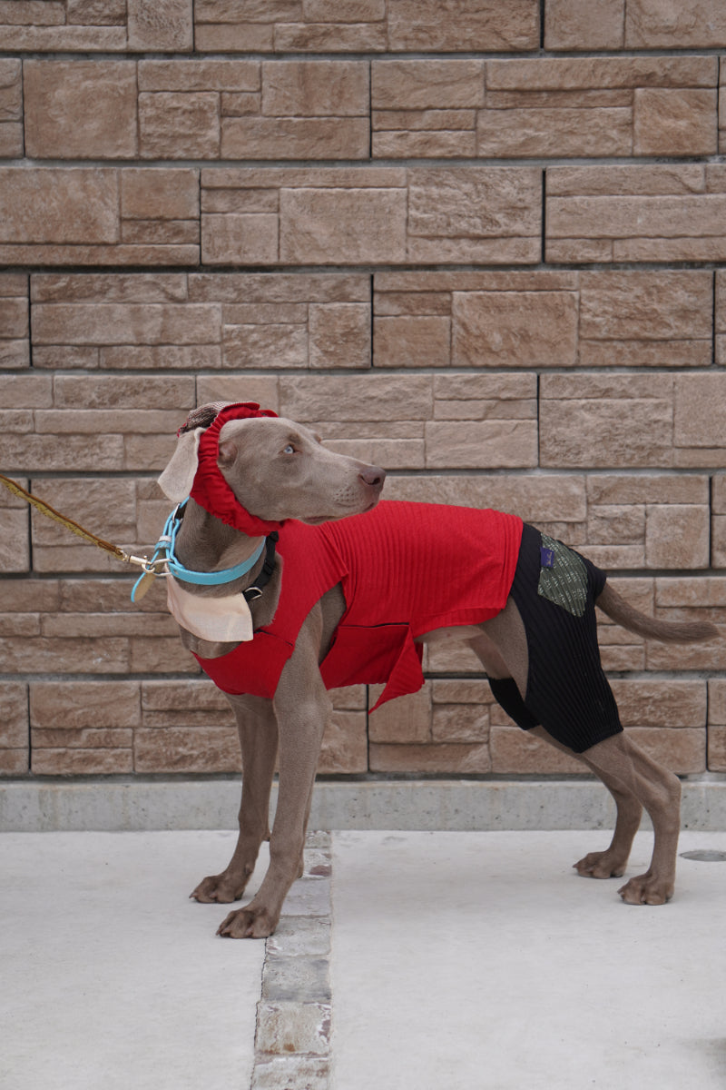 wanpleats(ワンプリーツ) 犬服 dogwear ドッグウェア トップス 超大型犬 超小型犬