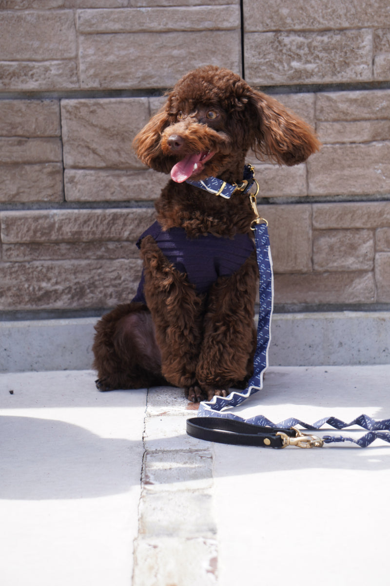 wanpleats(ワンプリーツ) 犬服 dogwear ドッグウェア トップス 超大型犬 超小型犬