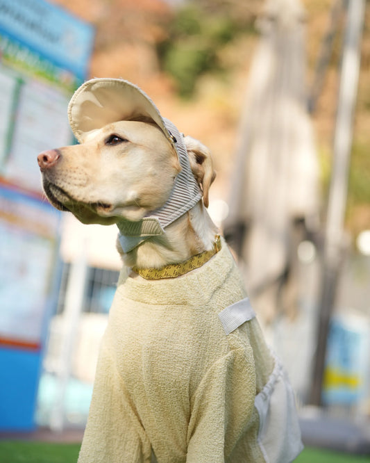 DOG WEAR - プリーツキャップ2