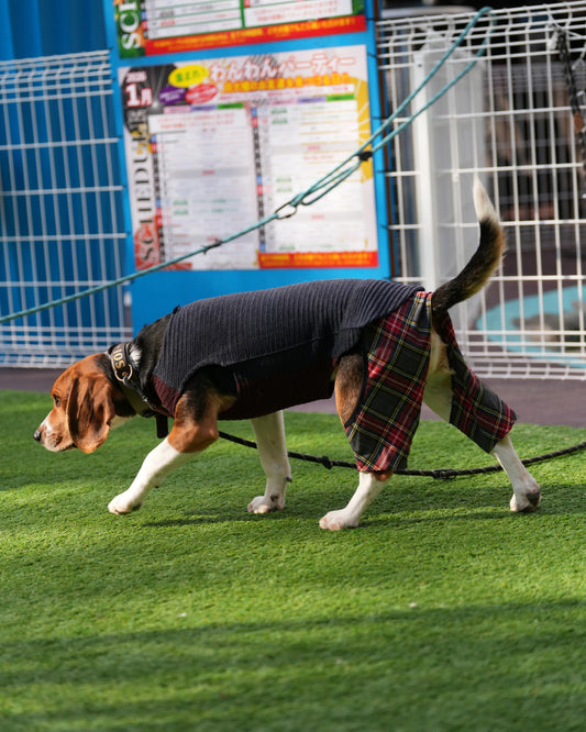 DOG WEAR - モフモフプリーツタンクトップ