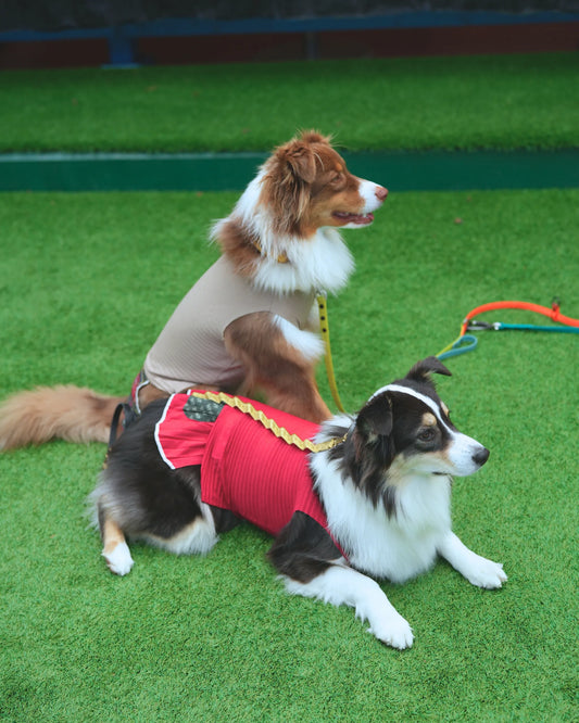 オゥシーMサイズ。リネン風プリーツタンクトップは麻調の生地を使用した、ナチュラルな風合いです。犬服/ドッグウェアブランドWan!Pleats(ワンプリーツ)