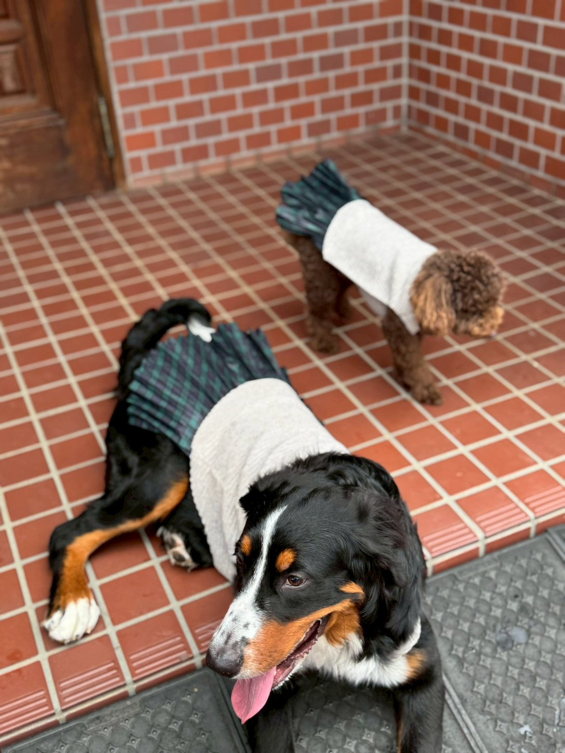 DOG WEAR - プリーツonプリーツチュチュスカート