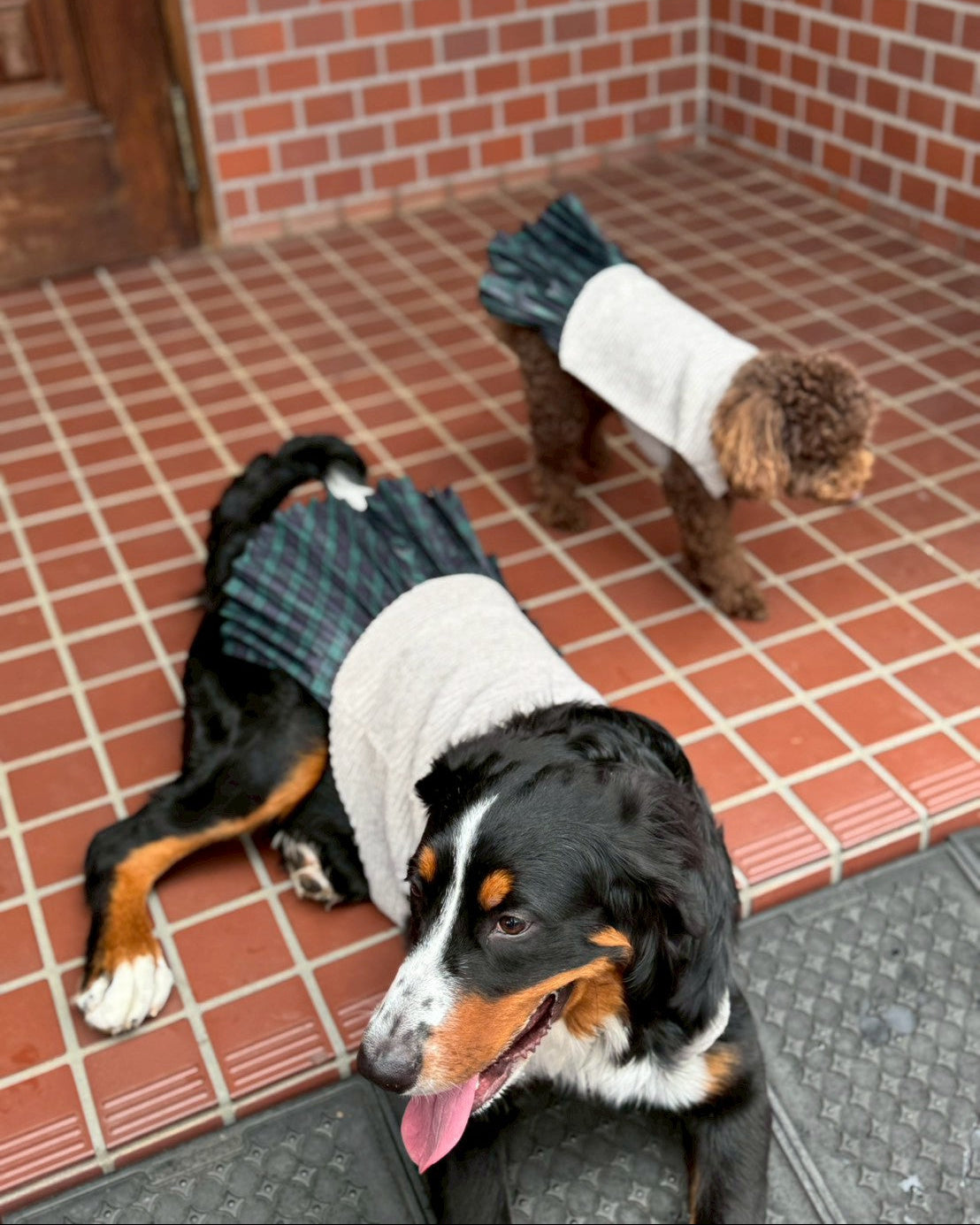DOG WEAR - プリーツonプリーツチュチュスカート
