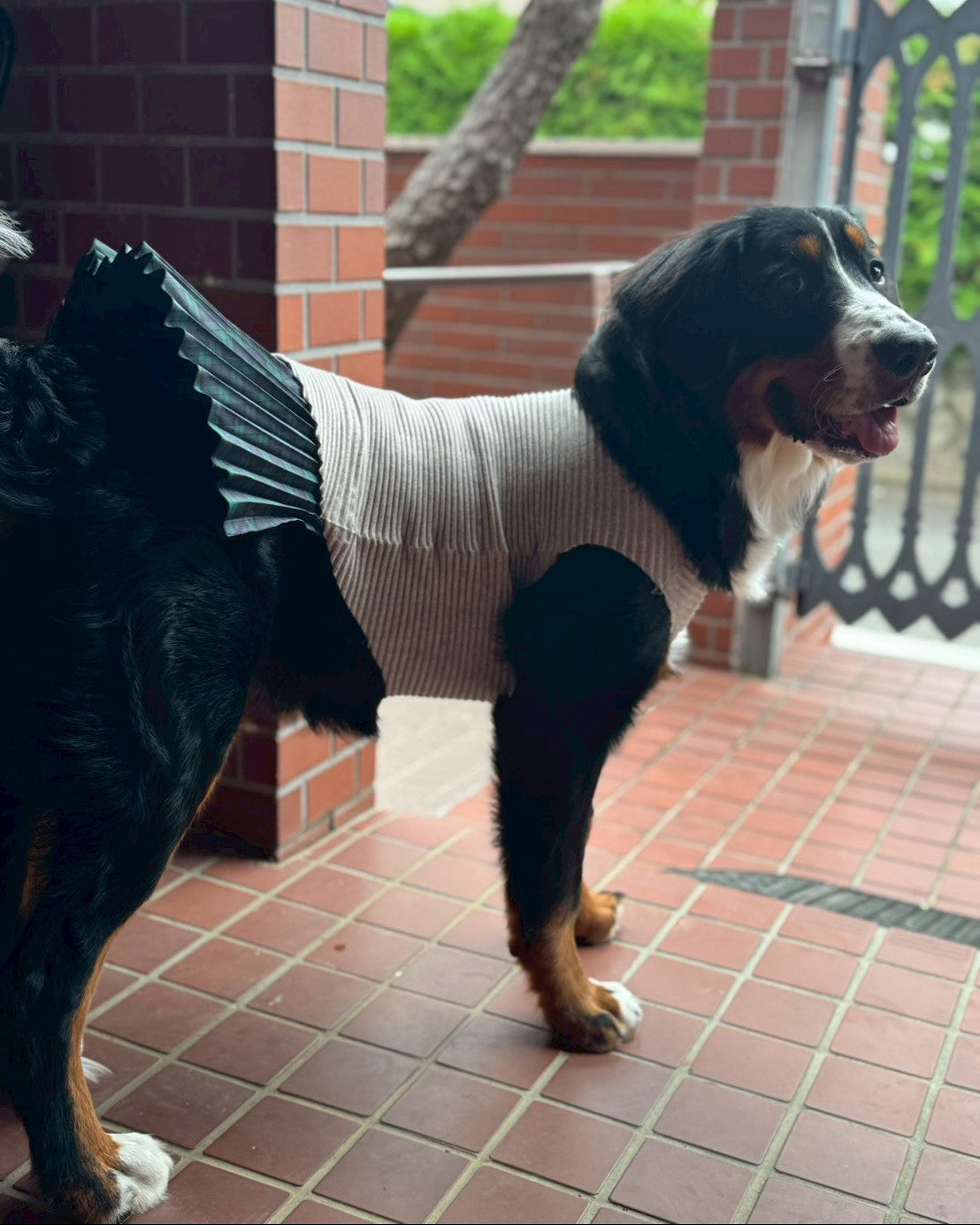 DOG WEAR - シャギーニットプリーツタンクトップ
