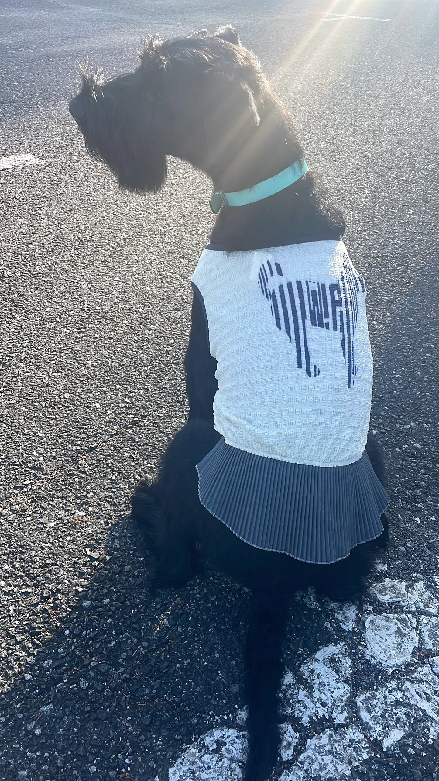 DOG WEAR - マジョリカプリーツチュニック