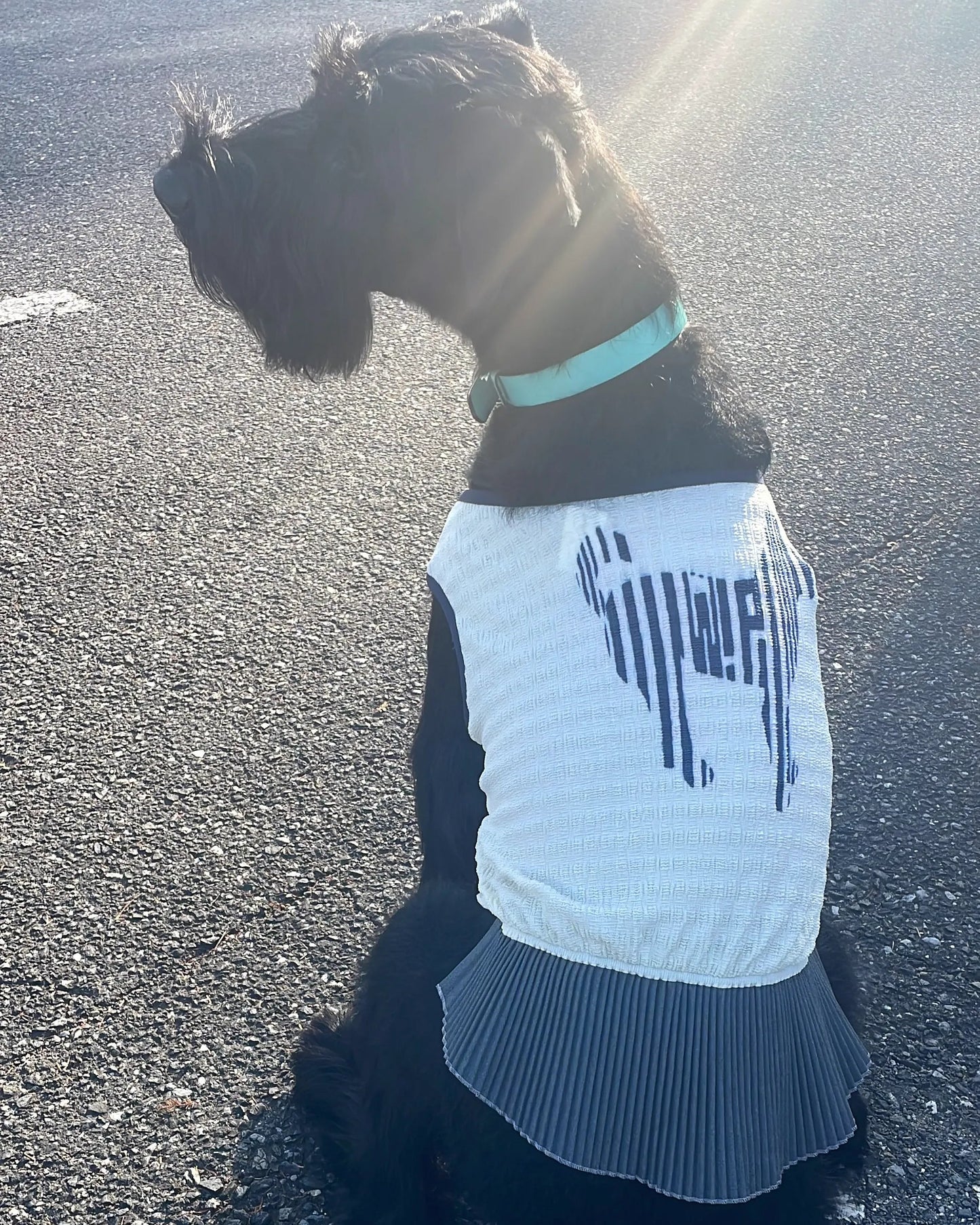 マジョリカプリーツチュニック ジャイアントシュナウザー Lサイズ