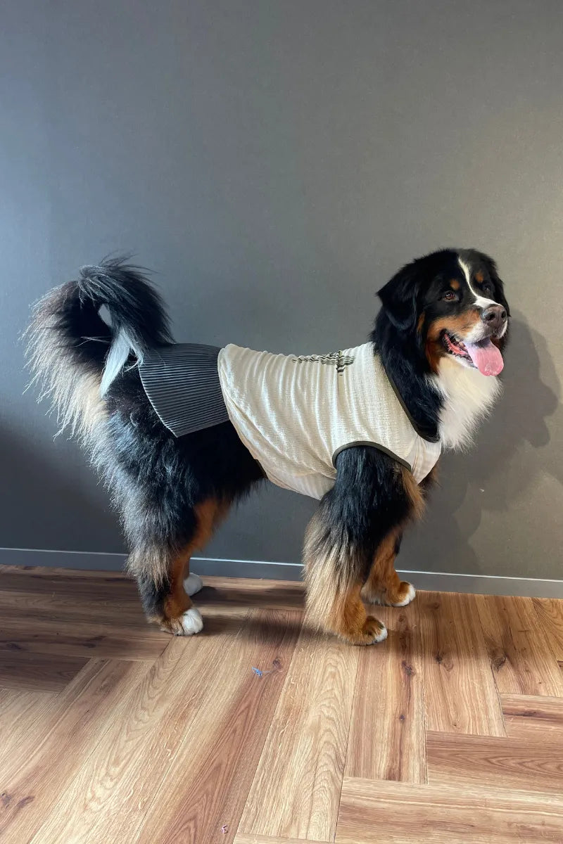 DOG WEAR - マジョリカプリーツチュニック